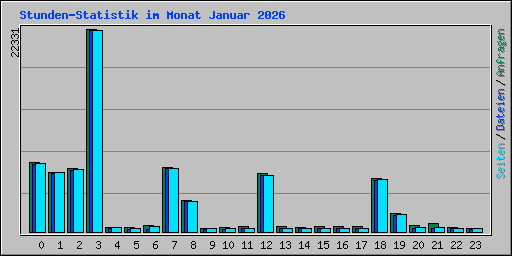 Stunden-Statistik im Monat Januar 2026